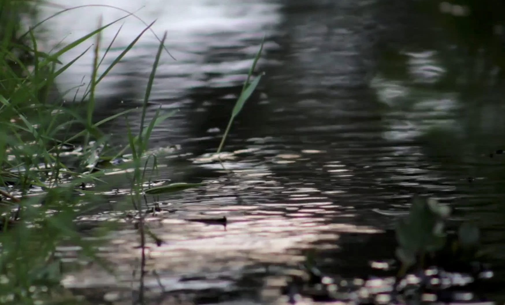 A Reflection for Sunday morning