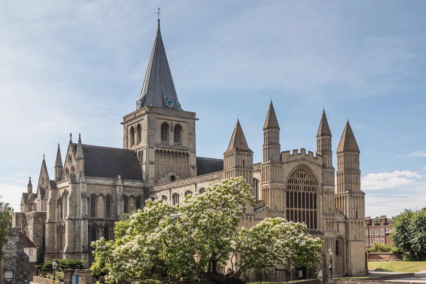 Rochester Cathedral - west front and catalpa tree.jpg