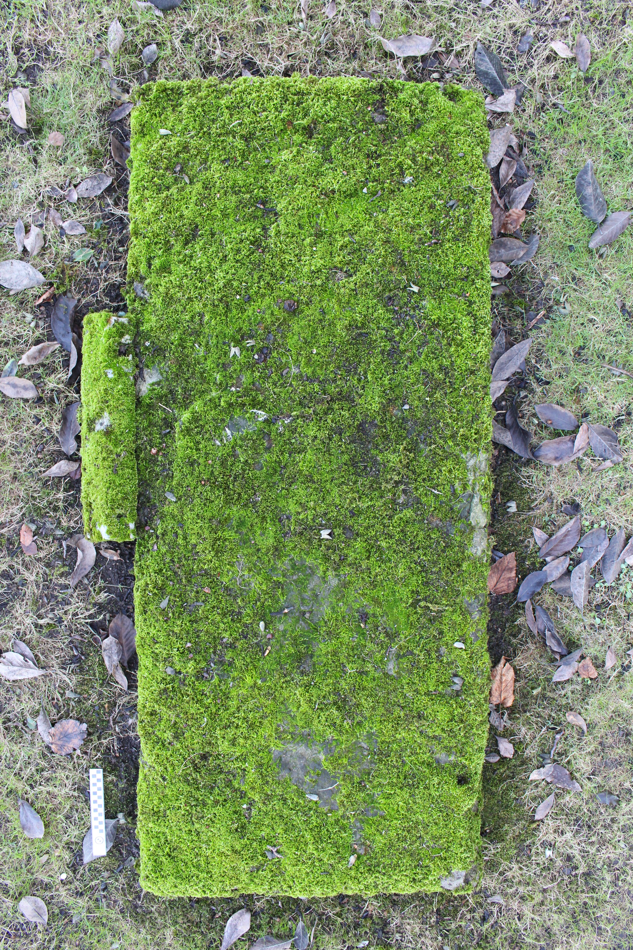 rcl17r12_gravestones_part_3_photographs_3-27.JPG