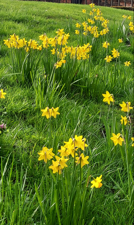 Family Activities this Easter 