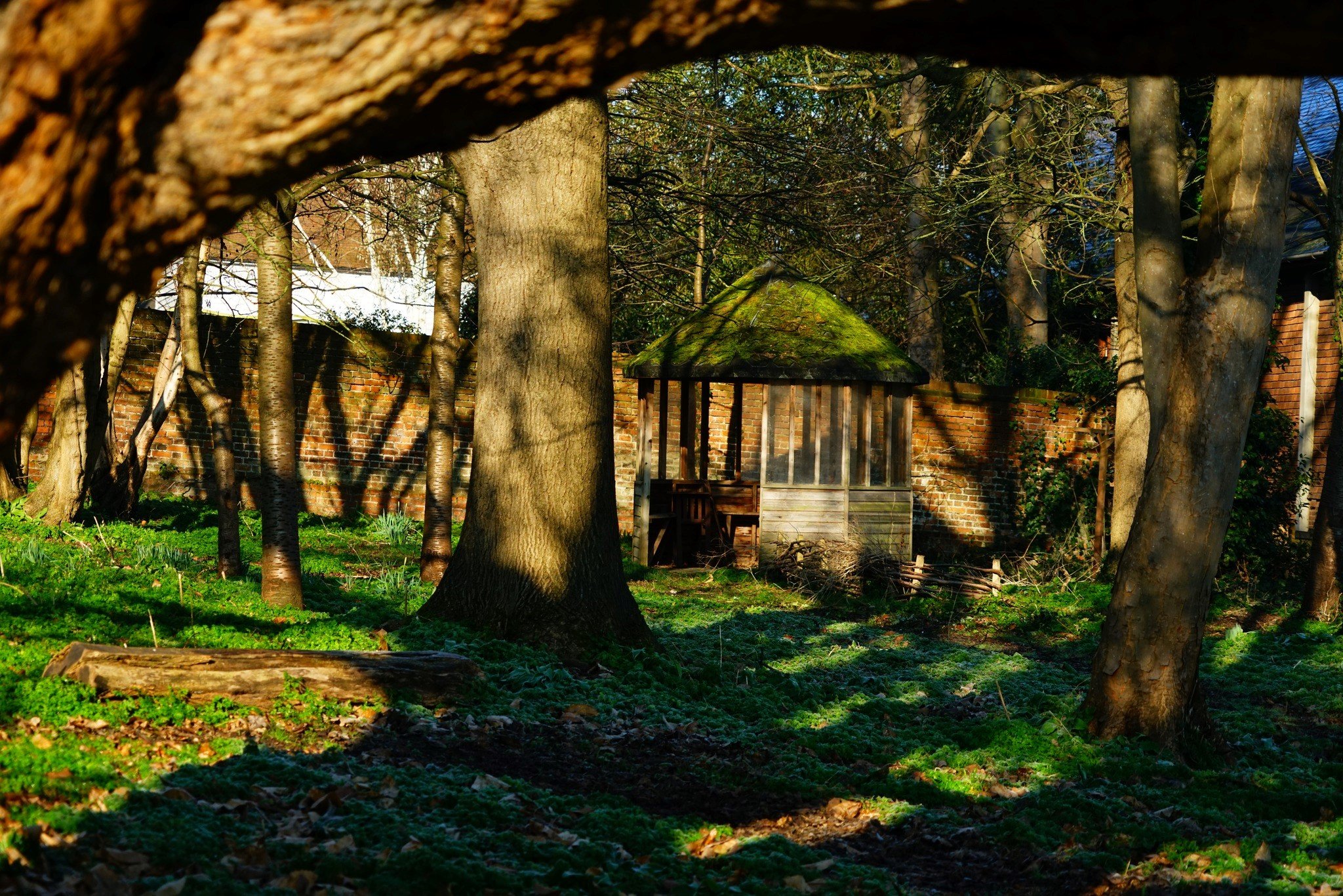 Explore &amp; Draw - Return to the Secret Garden 