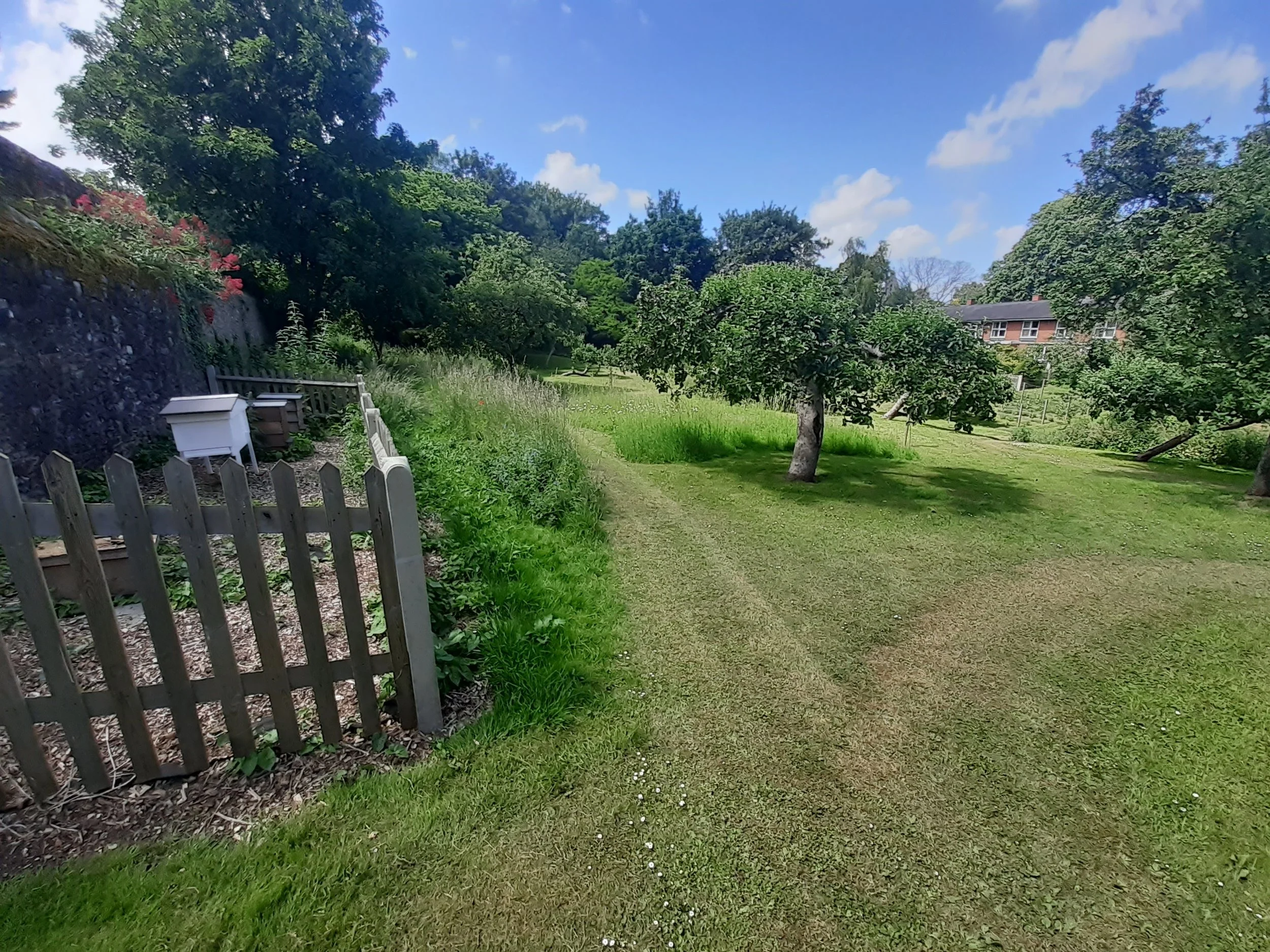 Cathedral Gardens Guided Tours 