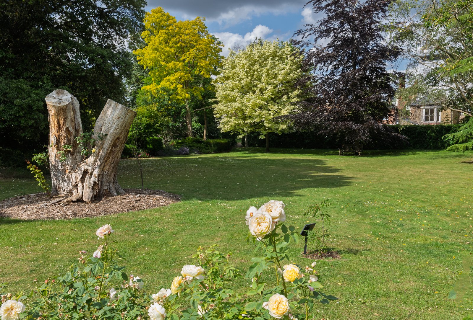 Garden Tour