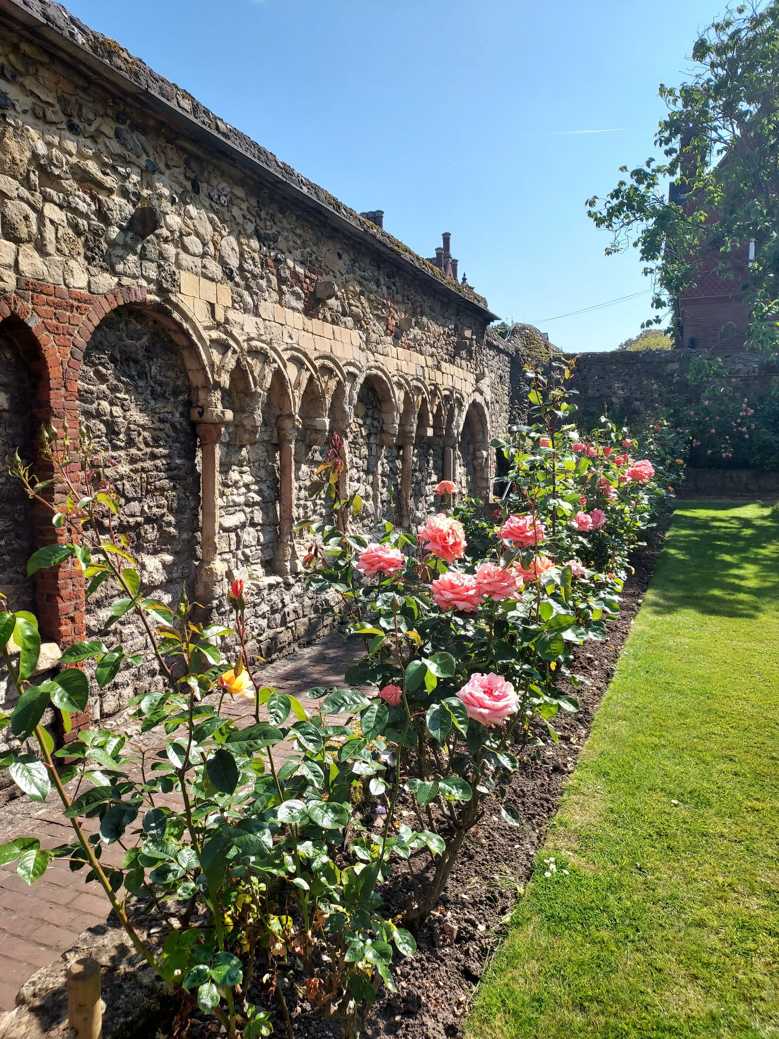 A Rose ‘Christening’ at Rochester Cathedral
