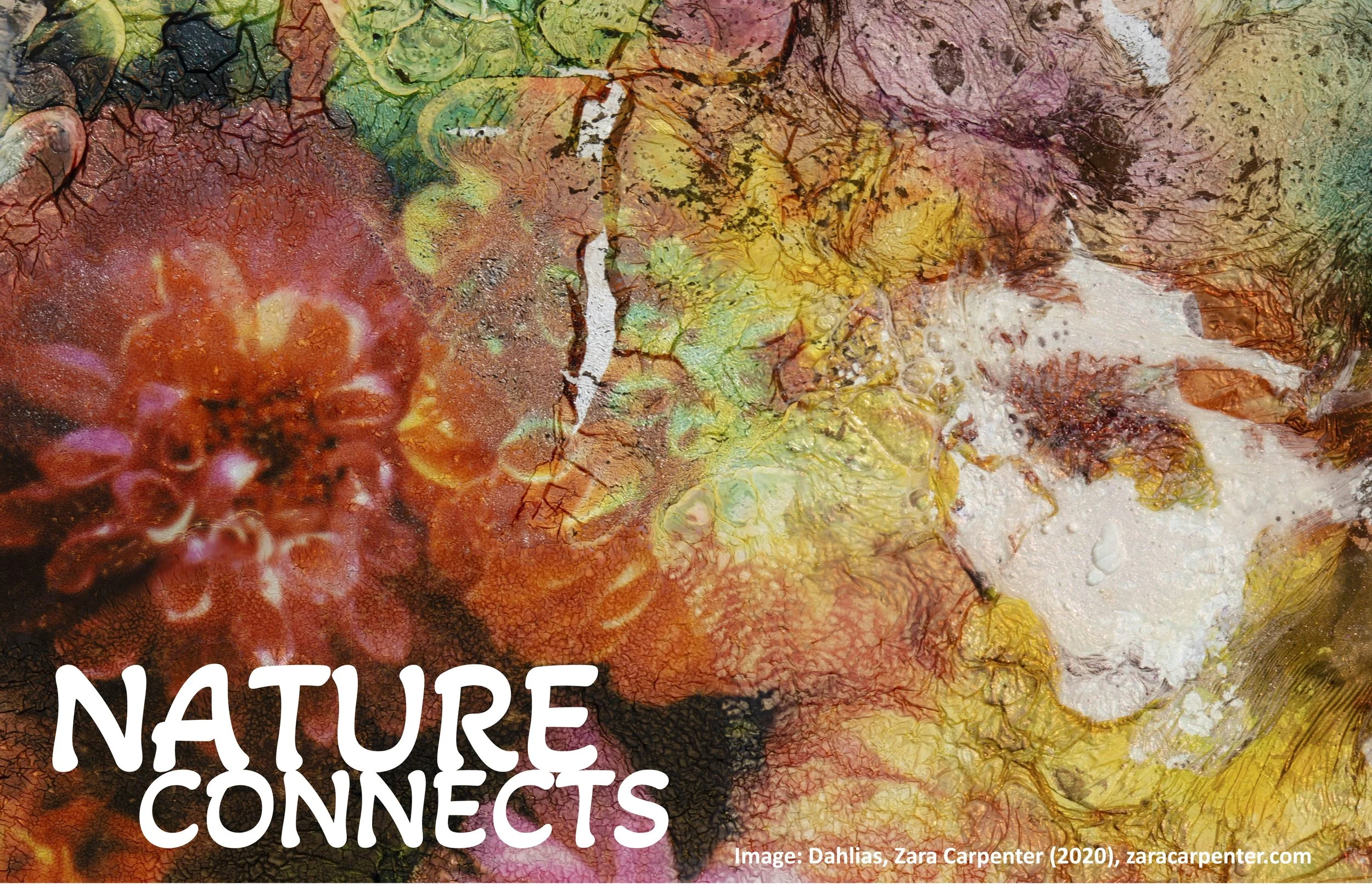 Nature Connects