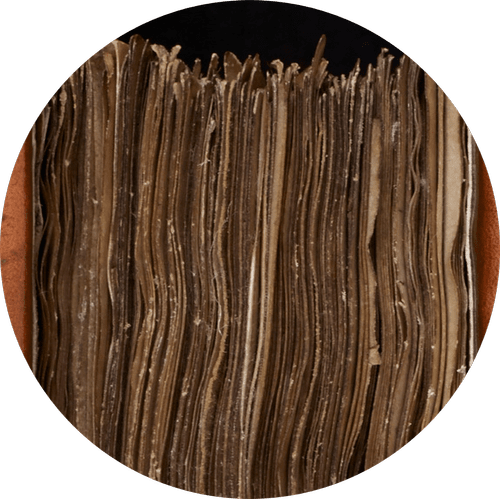 Textus Roffensis — Rochester Cathedral