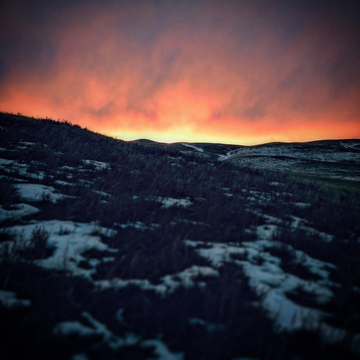 Stand-Alone Landscapes — Thomas M. Nutter Photographer