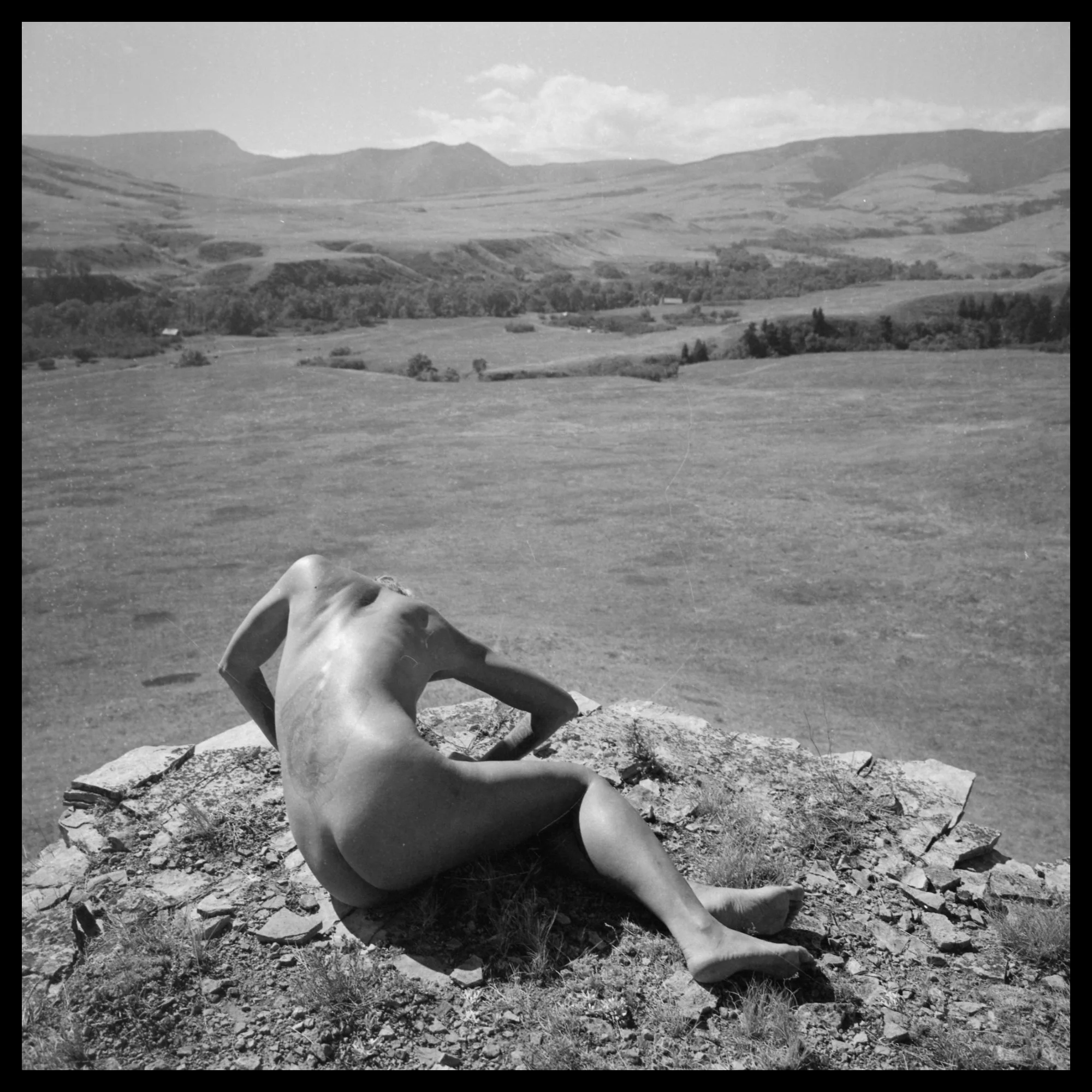 neg_TMN0772web.jpg
