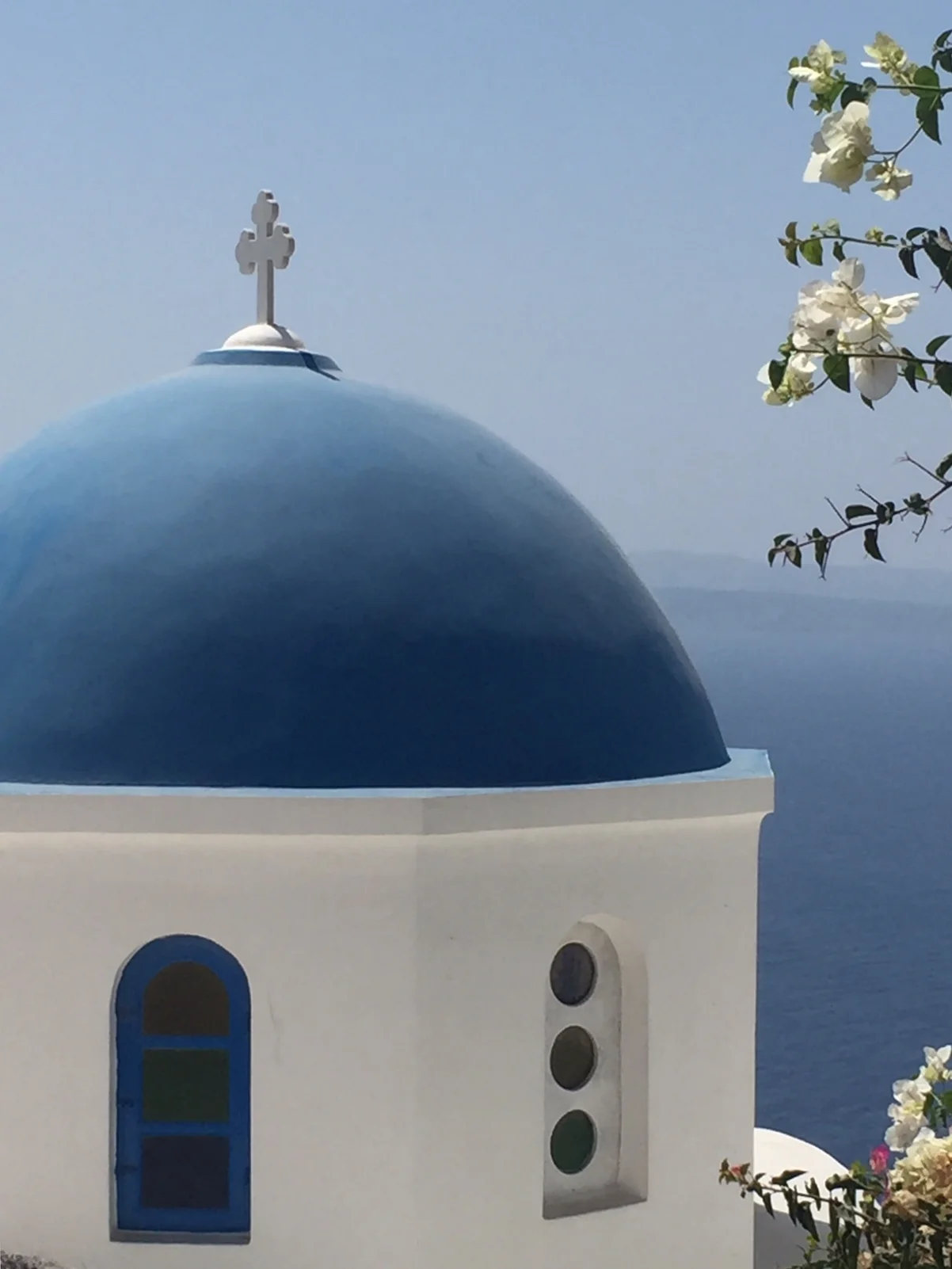 To cruise or not to cruise, that is the question! 