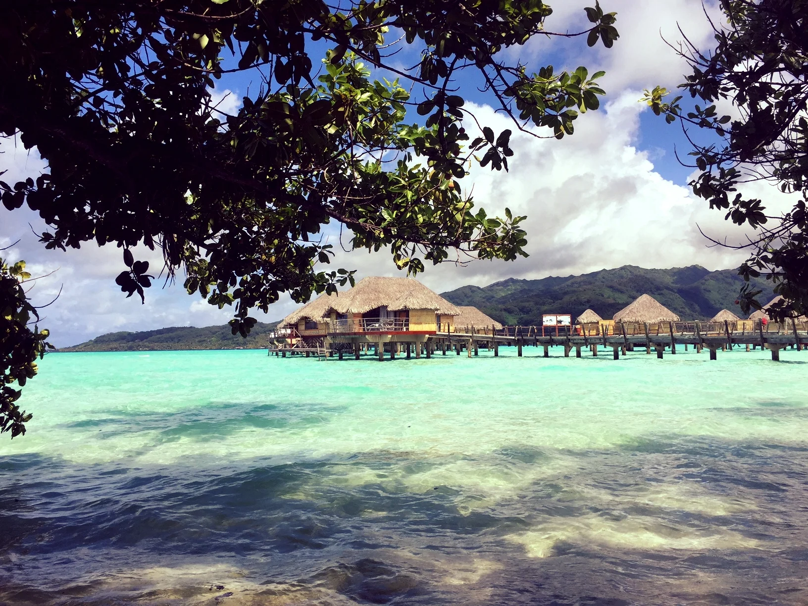 ERIN L. | LOUISIANA | BORA BORA