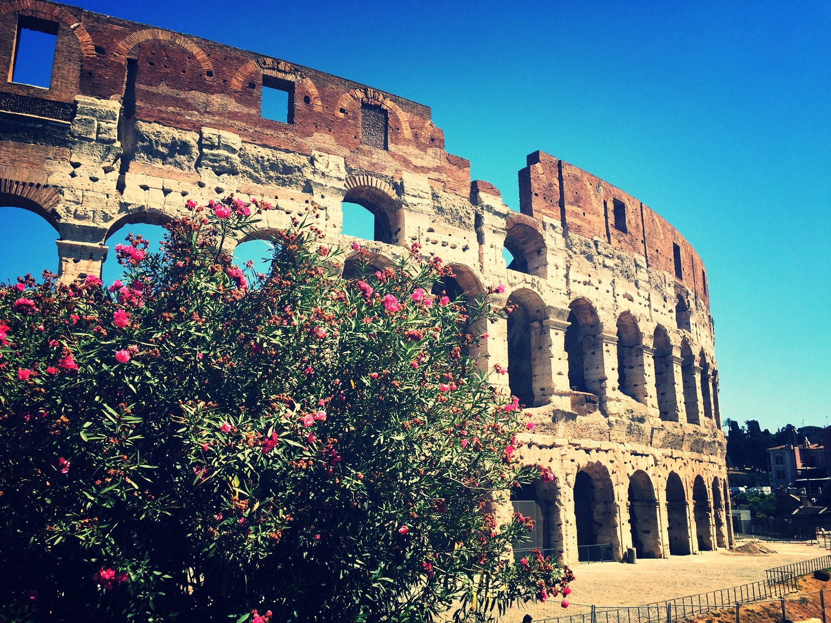 SHRIPAL S. | WASHINGTON D.C. | PARIS & ITALY