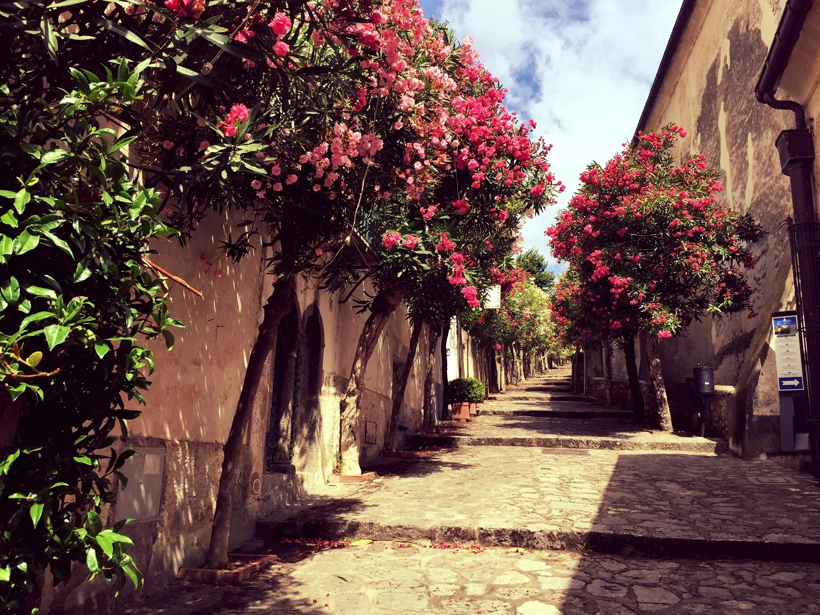 LAUREN M. | PENNSYLVANIA | MEDITERRANEAN CRUISE