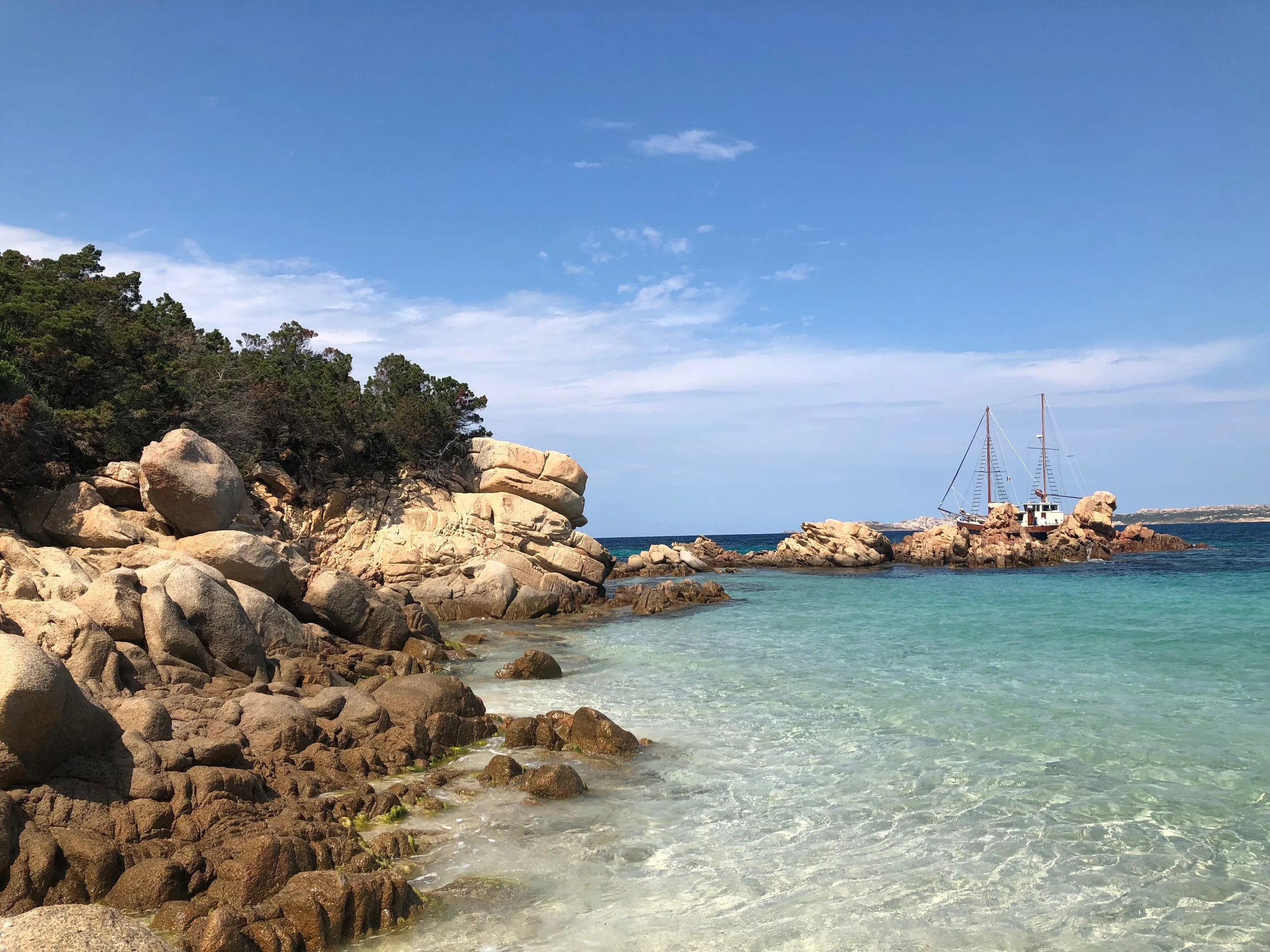 I think I ate my weight in pizza...