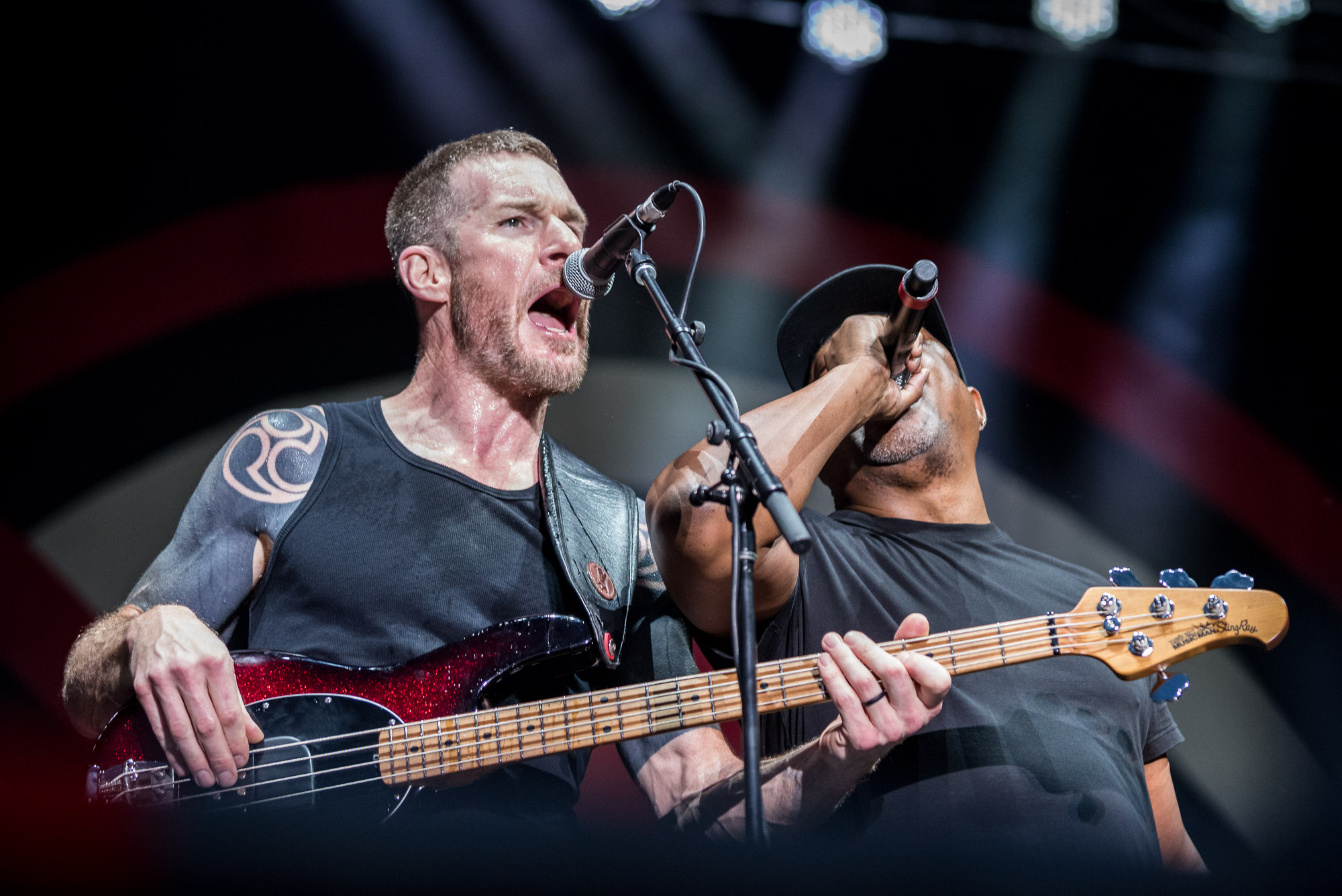 Download Festival Melbourne 2018 - Paul Tadday Photography - 0165.jpg