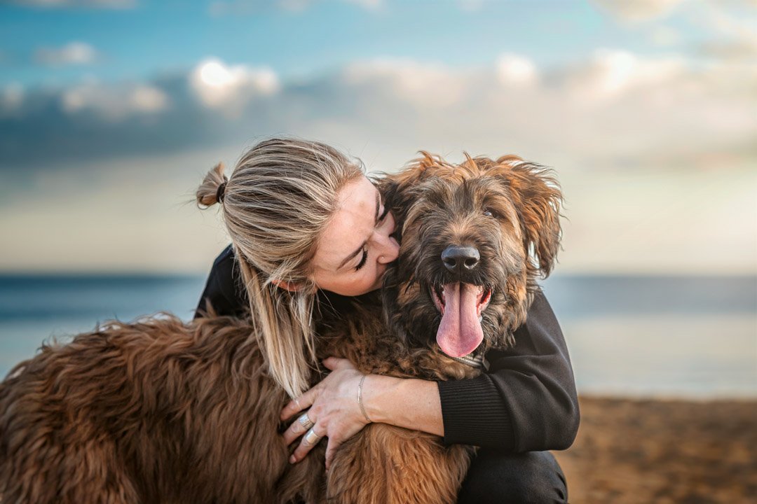 Georgie (Briard) - 270822 64644-Edit copy.jpg