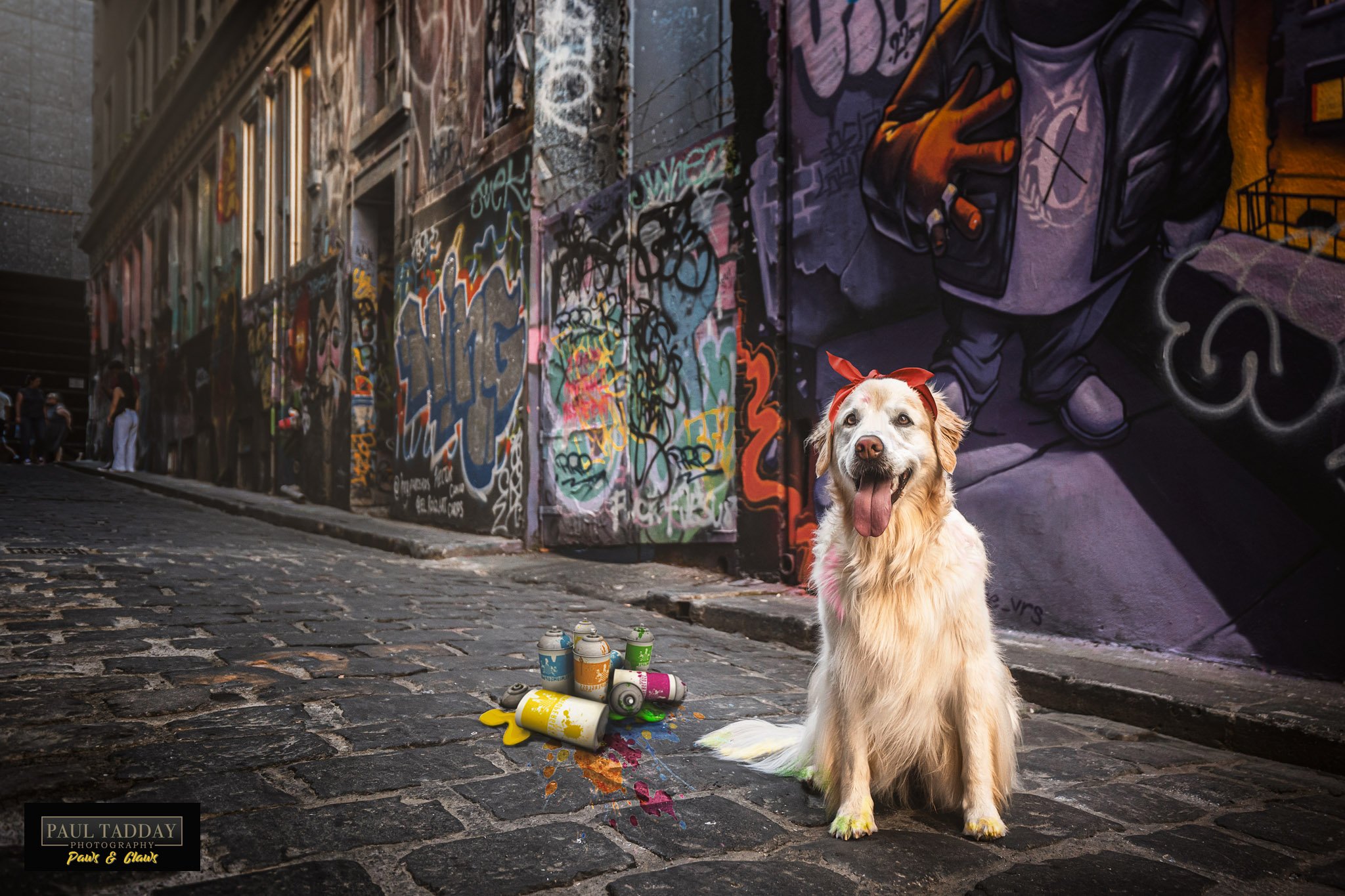 Maggie (Golden Retriever) - 100422 - TotW459-Edit.jpg