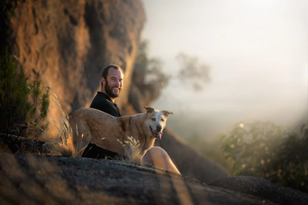 Rufus (Australian Cattle Dog X) - 100223  107099-Edit copy.jpg