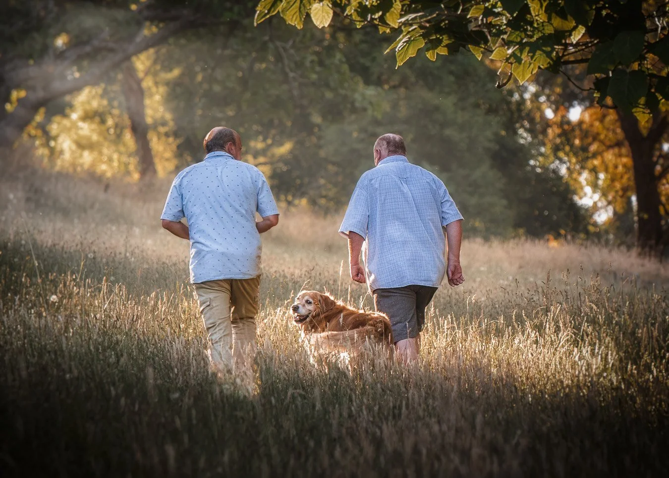 Casey (Golden Retriever) - 220122 - 78910-Edit-Edit.jpg