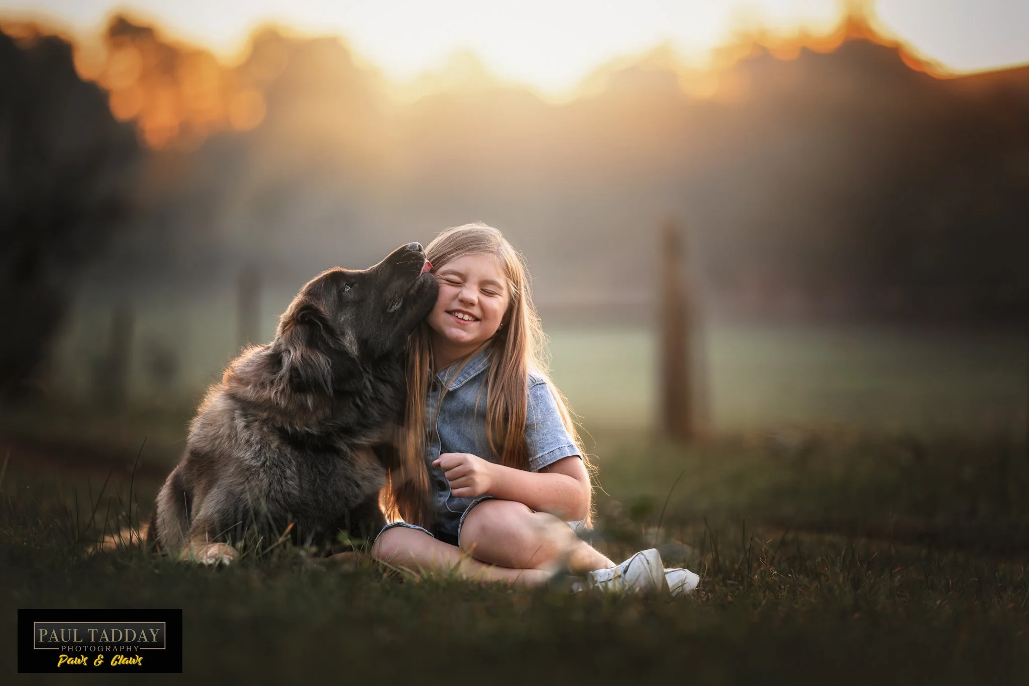 A beautiful series of images featuring @glamourfordleonbergers. It was such a pleasure to photograph such a fantastic family and their gorgeous pups.
.
www.paultadday.com
.
#leonbergerpuppy #leonbergers #melbourneleonbergers #leonbergerlovers #melbou