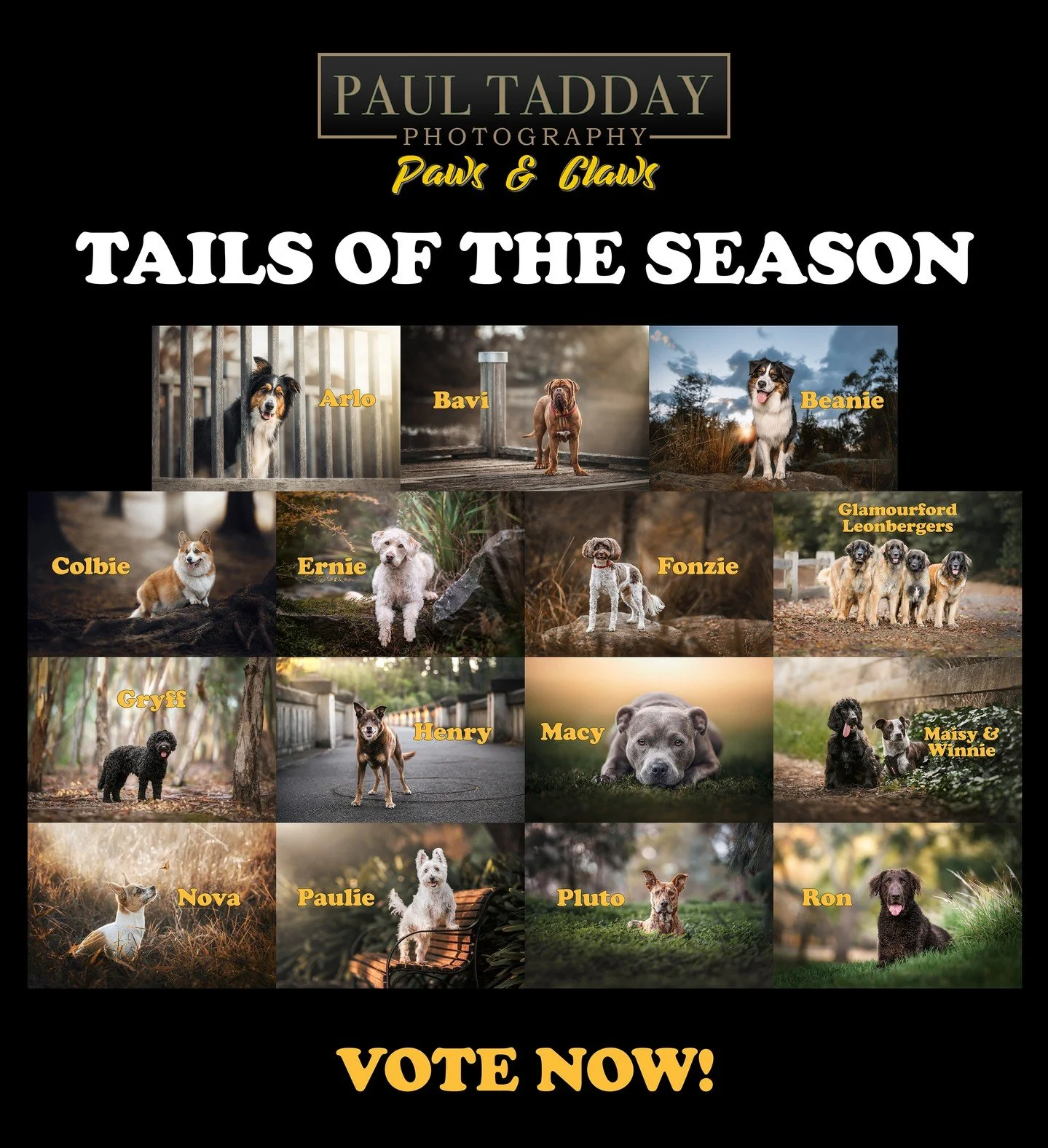 It's BACK! 🐾🎉

The &quot;TAILS OF THE SEASON&quot; competition for Autumn/Winter 2025 is up and running! 🍁☔

VOTE for your favourite pooch and you could win your own pet photography package (valued over $650). 🏆

Copy and paste this URL into your