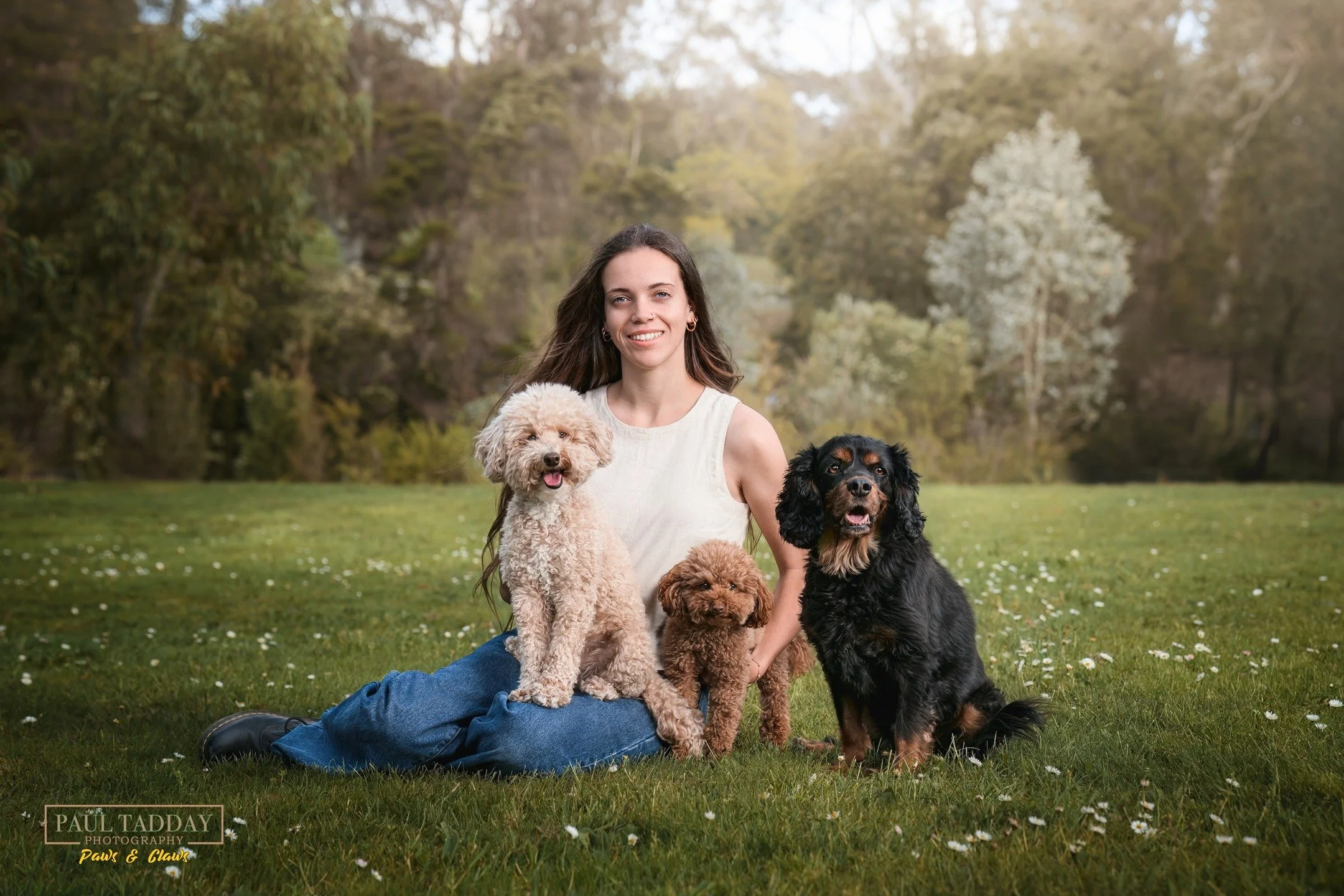 🐶❤️📸
Meet Tilly, Harley and Scout! Three adorable pups with very different personalities! They had a fantastic afternoon in front of the 'Paws &amp; Claws' lens with their best hooman friend, Kyla!

www.paultadday.com

#melbournedogphotography #mel