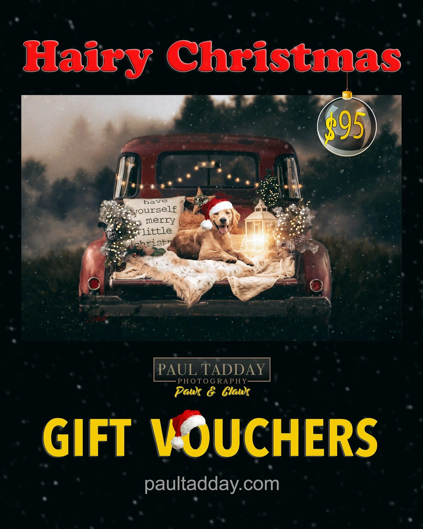 🎅 Spoil the animal lover in your life this Christmas - &quot;HAIRY CHRISTMAS GIFT VOUCHERS&quot; - only $95 🎁

https://www.paultadday.com/buy-egift-vouchers

#paultaddayphotography #melbournepetphotographer #melbournepetphotography #melbournedogpho