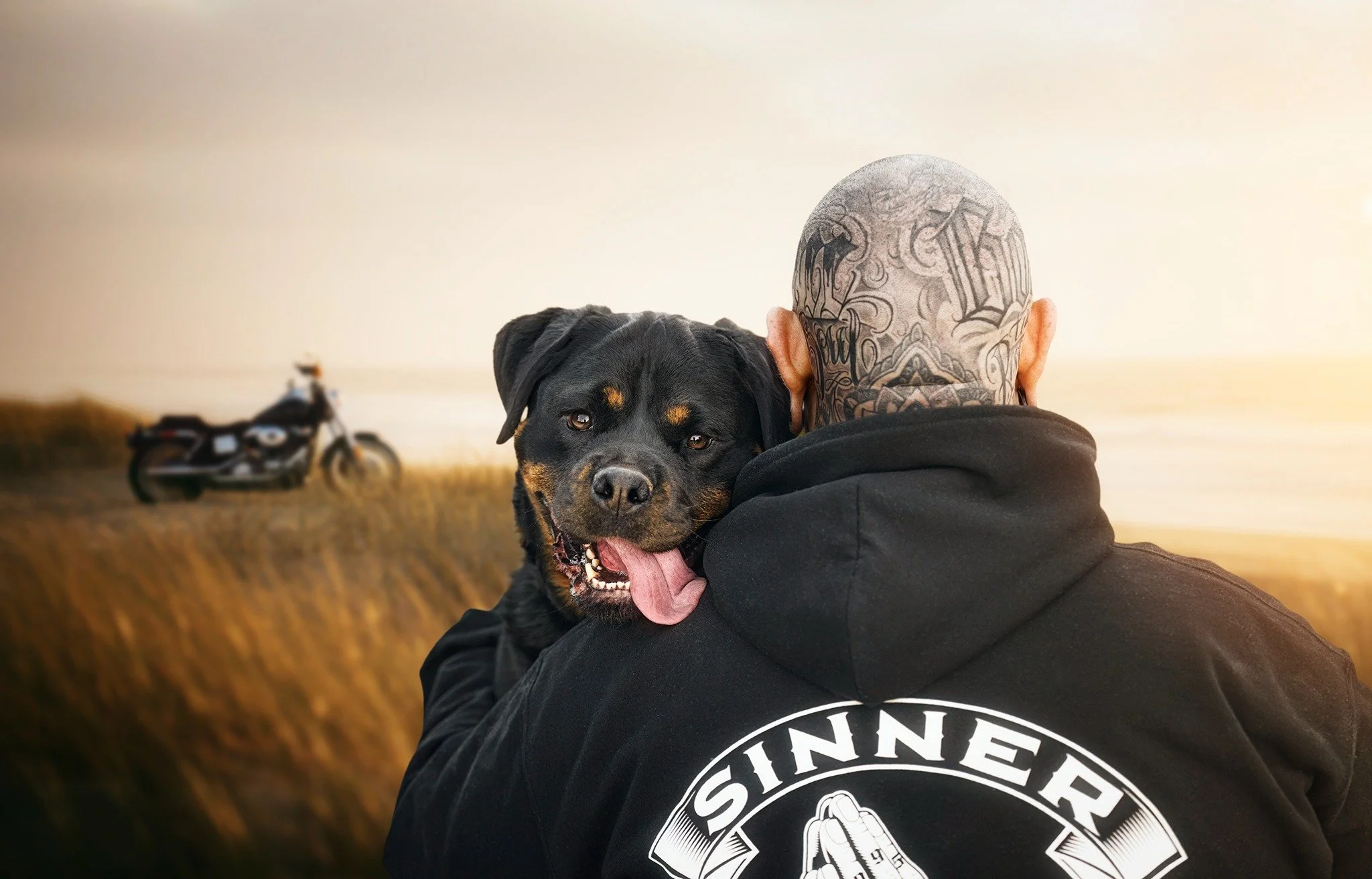 🔥 SNEAK PEEK 🔥
Meet the absolutely sweetest Rotty ever, &quot;Harlee&quot;.
She's the apple of her Dad's (Beau's) eye!
🐶📸❤

www.paultadday.com

#paultaddayphotography #melbournepetphotographer #melbournepetphotography #melbournedogphotographer #m