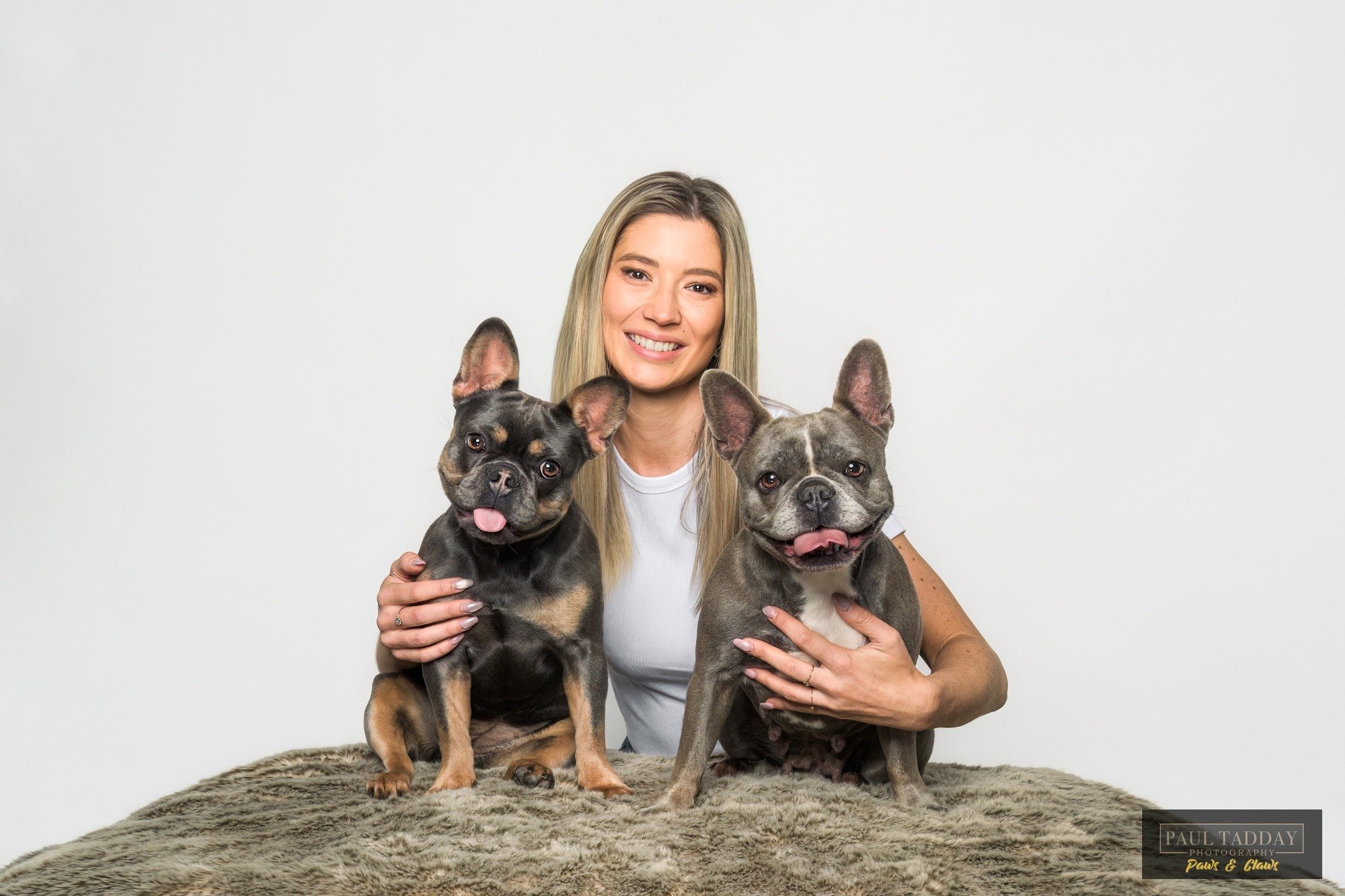 Daisy &amp; Mia

I recently had the pleasure to work with Andrea (@yourbestfrenchie) and her beautiful pups Daisy and Mia.

@yourbestfrenchie was recently recognised as one of Australia&rsquo;s Top 6 French Bulldog breeders. Congrats to Andrea and he