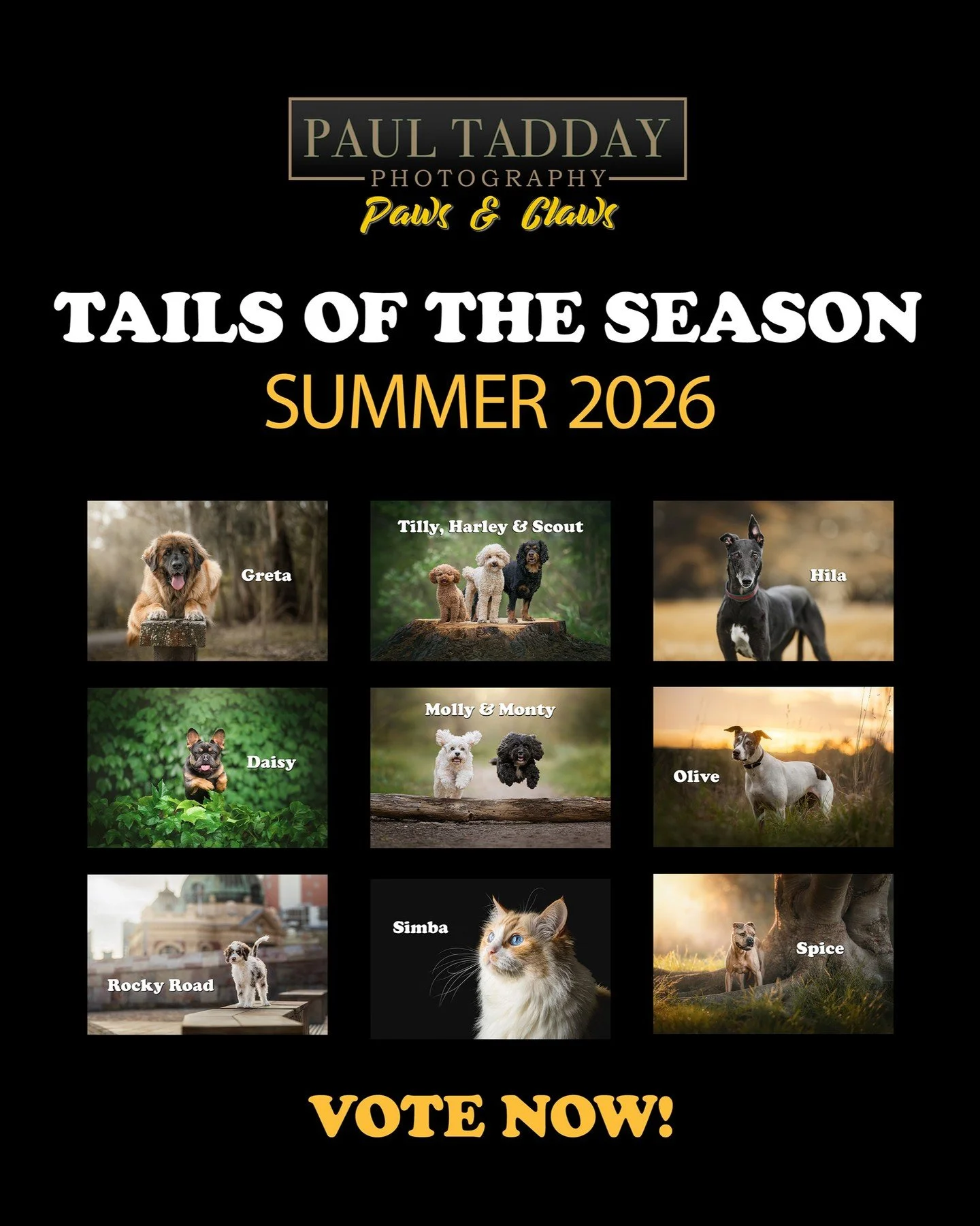 🐶📸 Kicking off 2026 with our SUMMER edition of the "Tails of the Season" competition! 

☀️🌊⛱️

Vote for your fave 'furry face' and you could win your own pet photography package valued at over $650!

Link in profile or copy/paste URL:

h