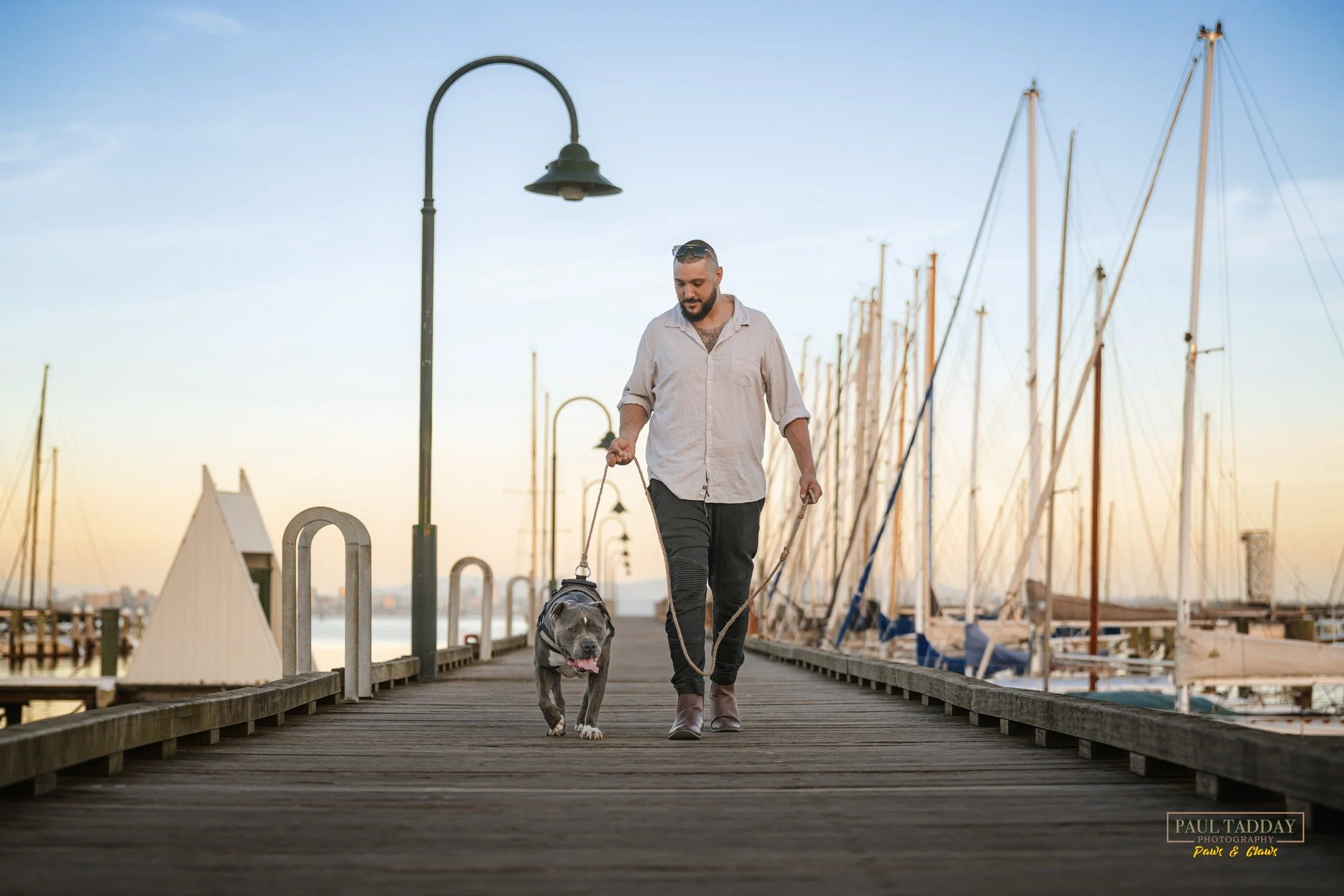 "Anakin &amp; Mash" - It sounds like a buddy-cop movie, but these two are chalk and cheese! But, as a 'fur-family' they fit together like a perfect puzzle!
🐶🐱❤📸

#melbournedogphotography #melbournedogphotographer #williamstownbotanicalga