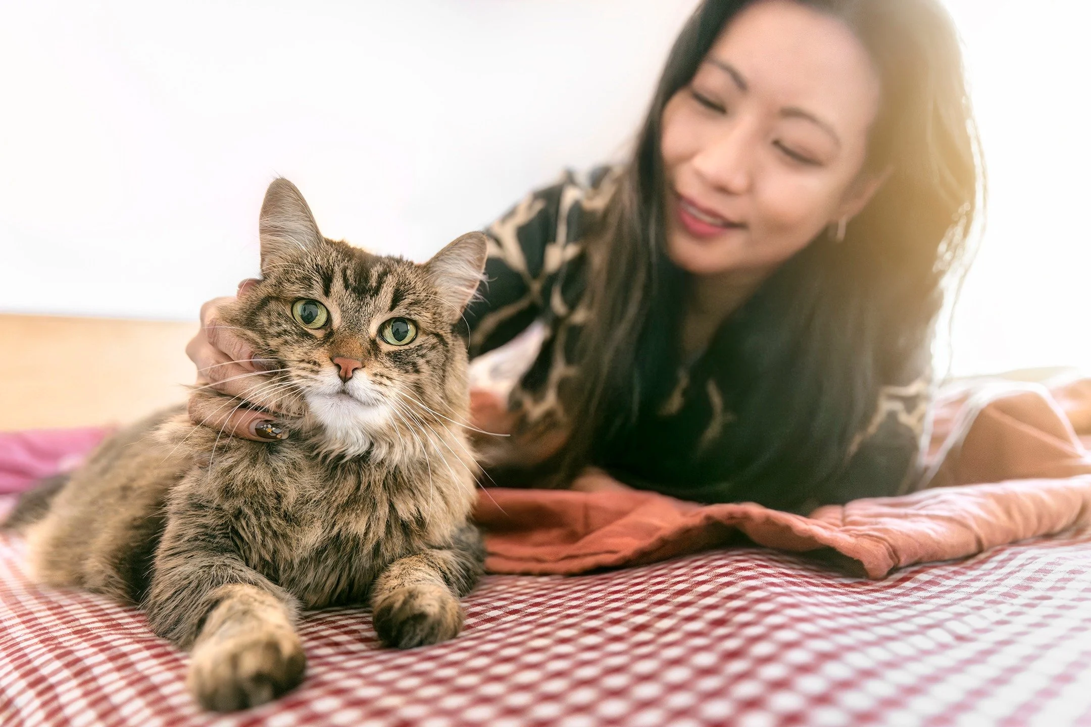 Beautiful "Temmie" ❤️