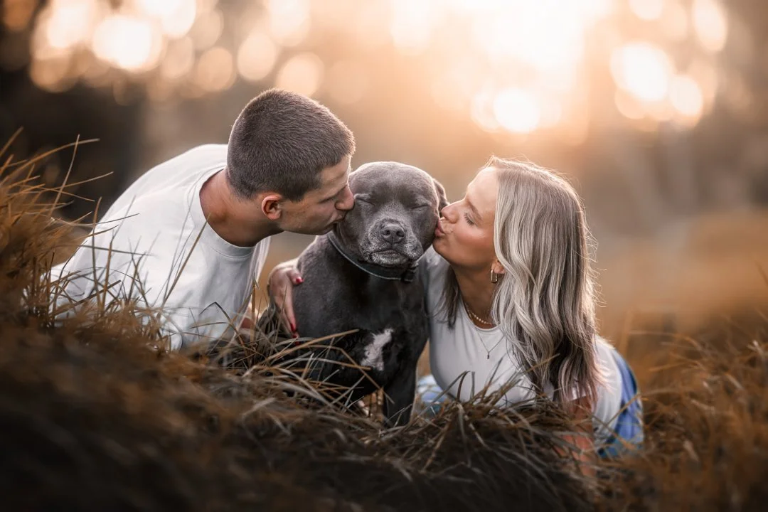 Ziggy (Blue Staffy) - 050525 - IG - 19.jpg