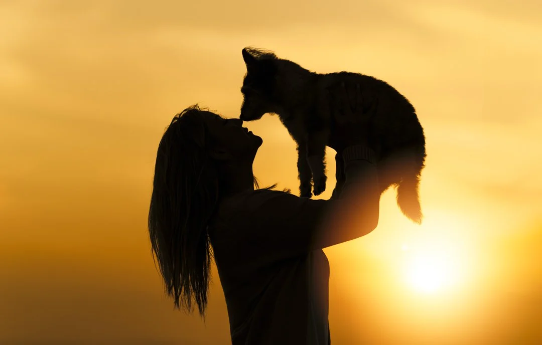 A COMPASSIONATE FAREWELL