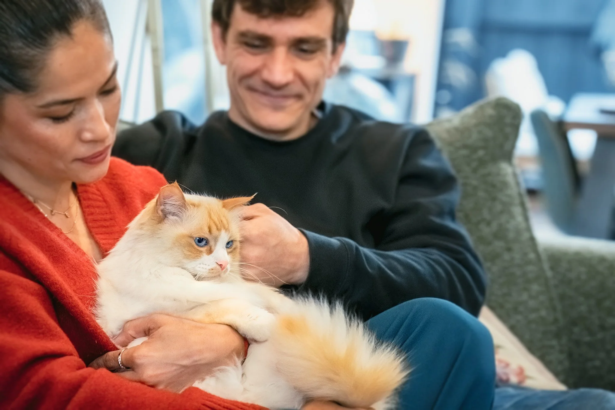 Simba (Ragdoll) - 310825 - full res - 23.jpg