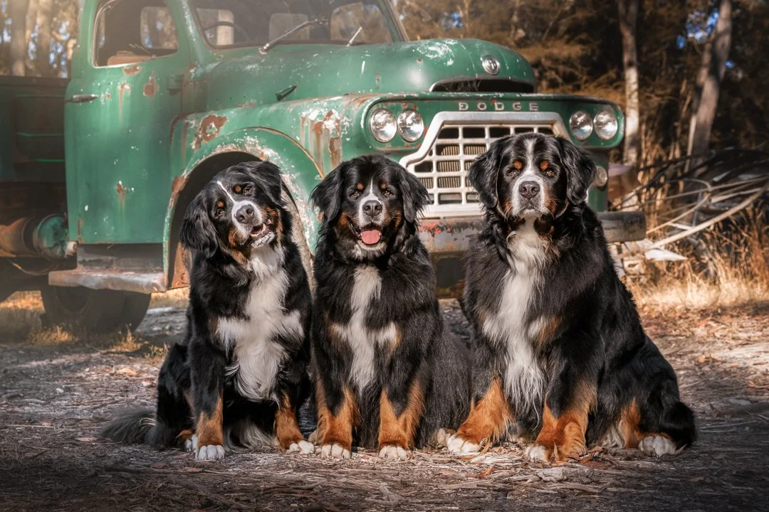 Zeneca, Kodak & Truffle - instagram - 3.jpg