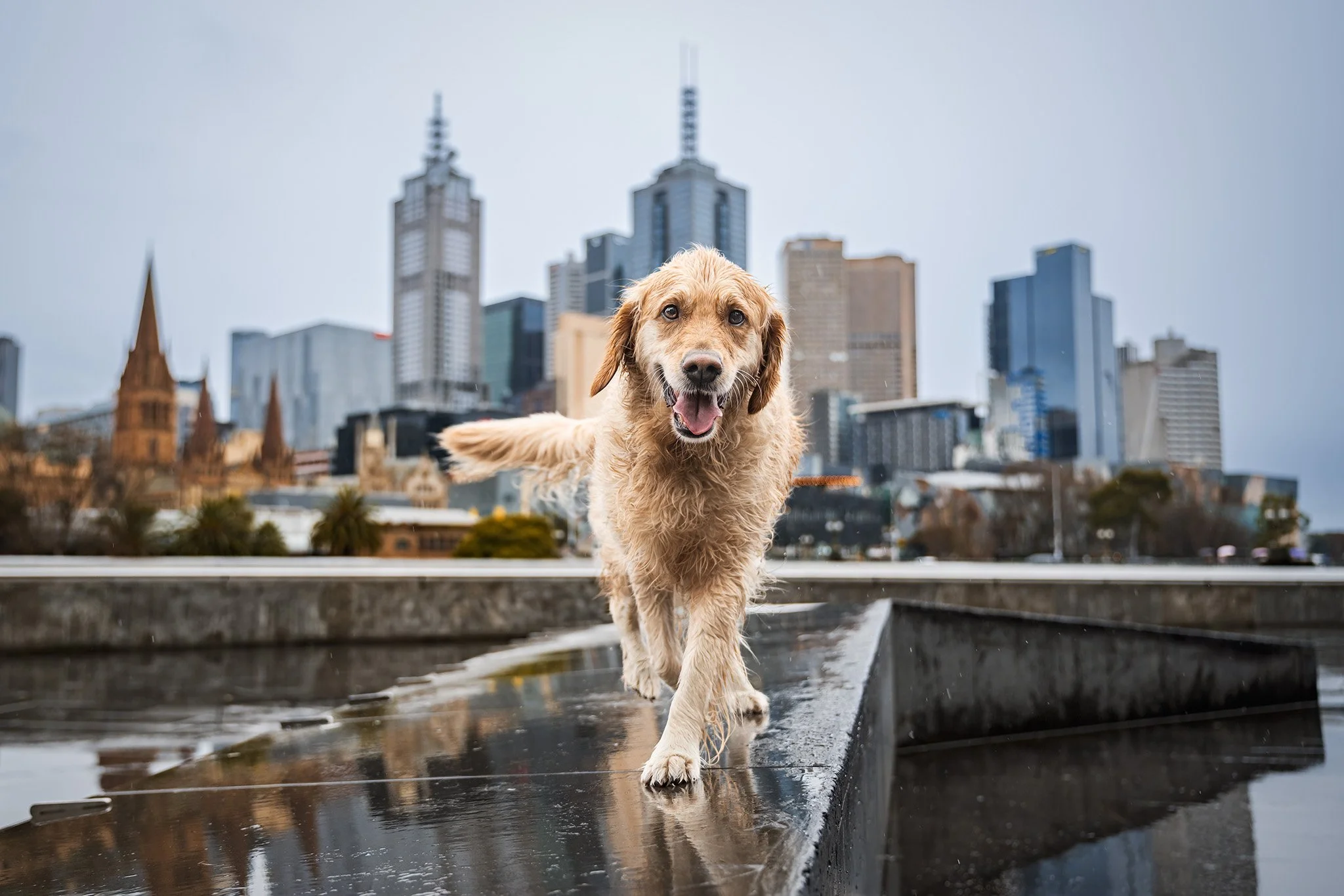 Indi (GR) - TOTW - 2024 - 270724 - 15.jpg