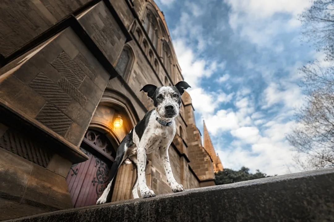 Dexter - TOTW - 2024 - 270724 - full res - 10.jpg