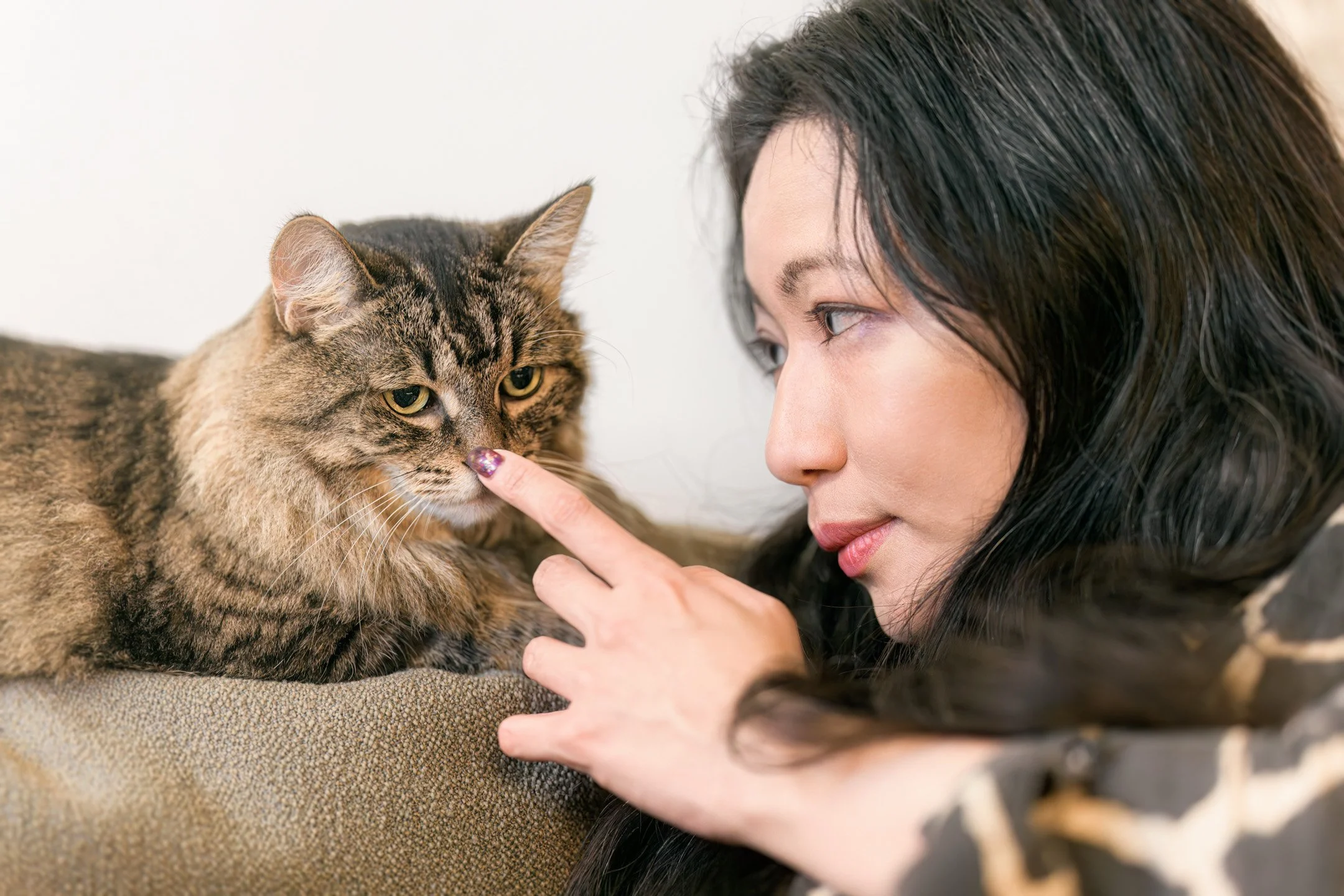 Temmie (DSH) - 300526 - full res - 16.jpg