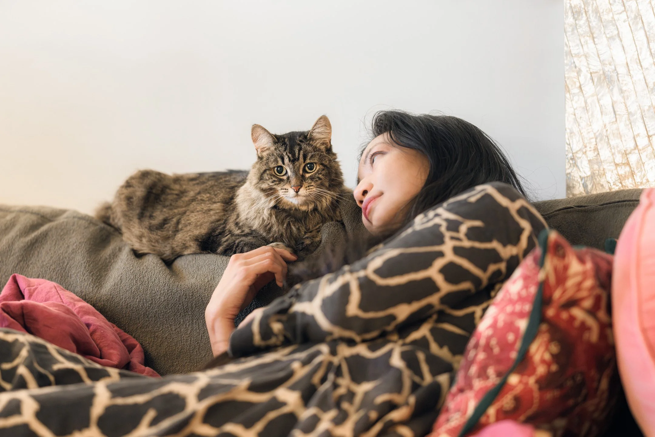 Temmie (DSH) - 300526 - full res - 17.jpg