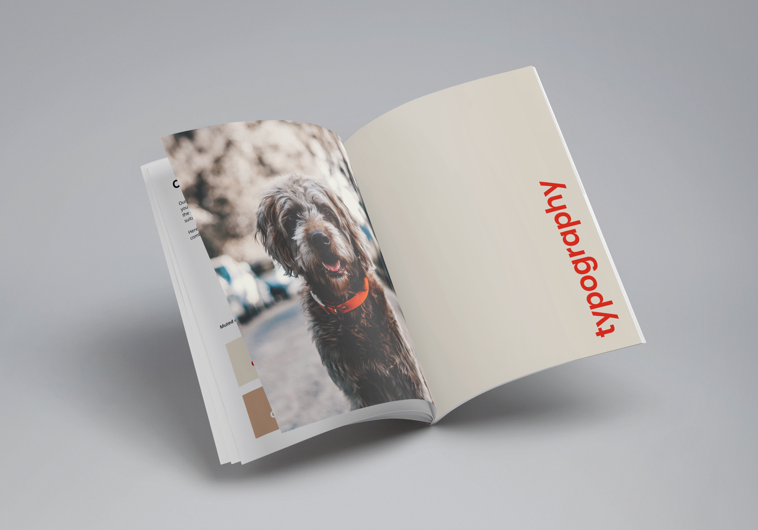 anaxeos-brand-book-mockup.png