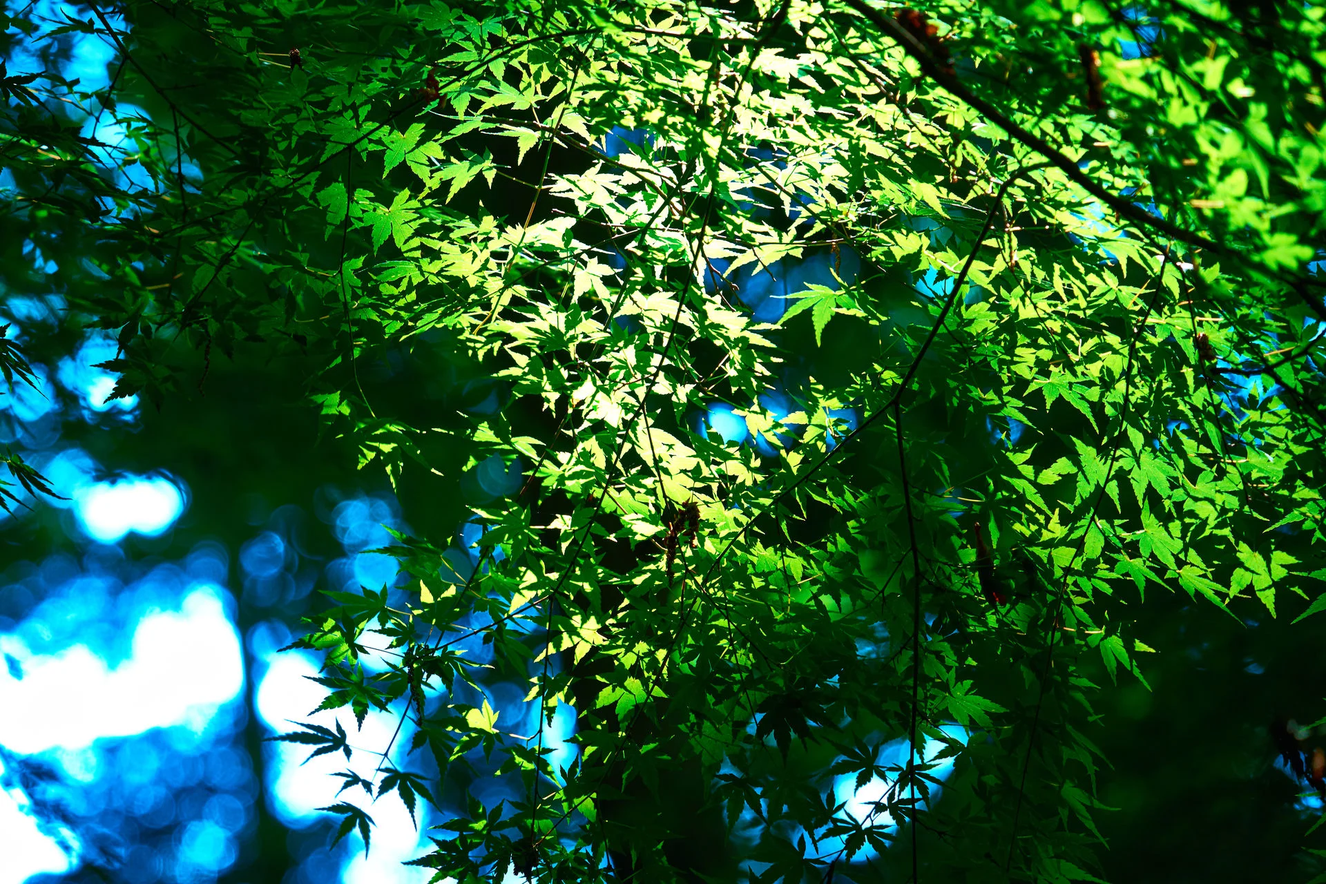 20190626_4.jpg