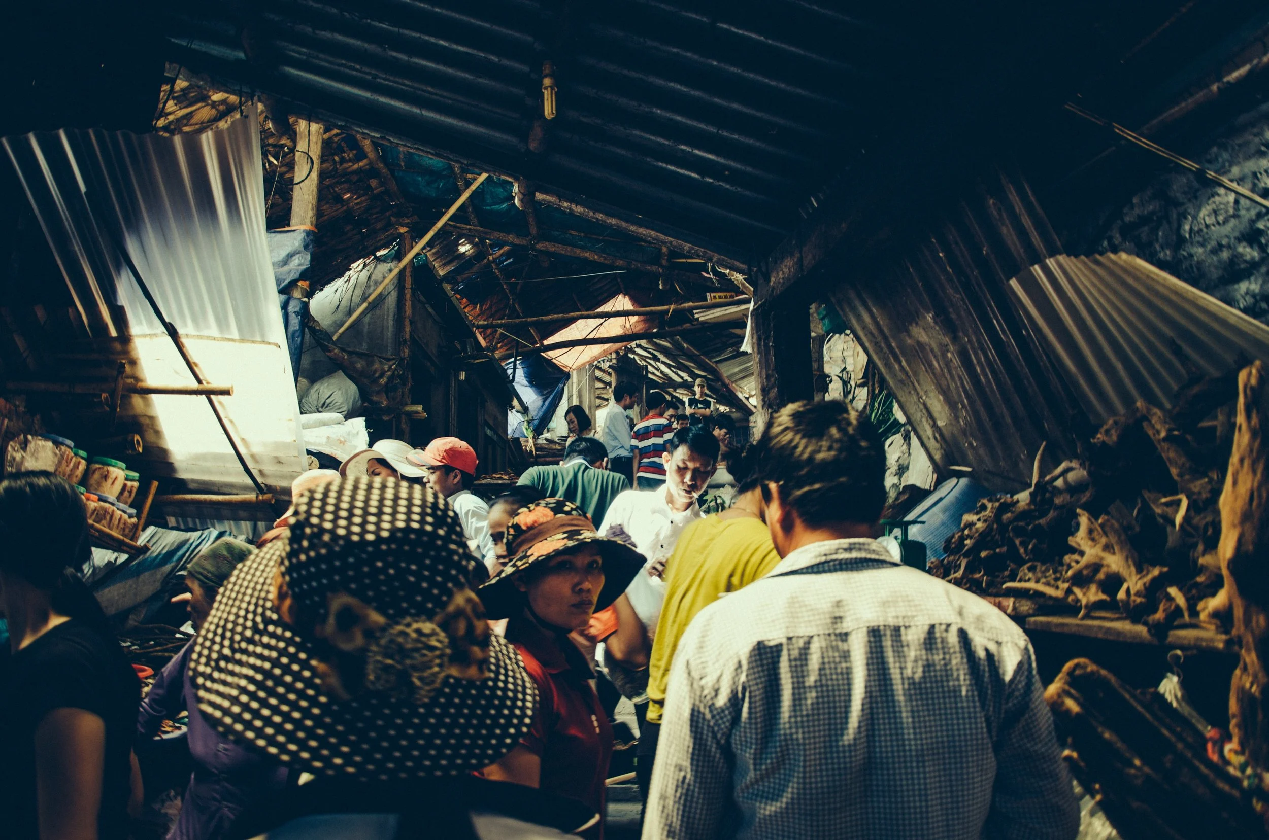 Photo by Anh Nguyen on Unsplash.jpg