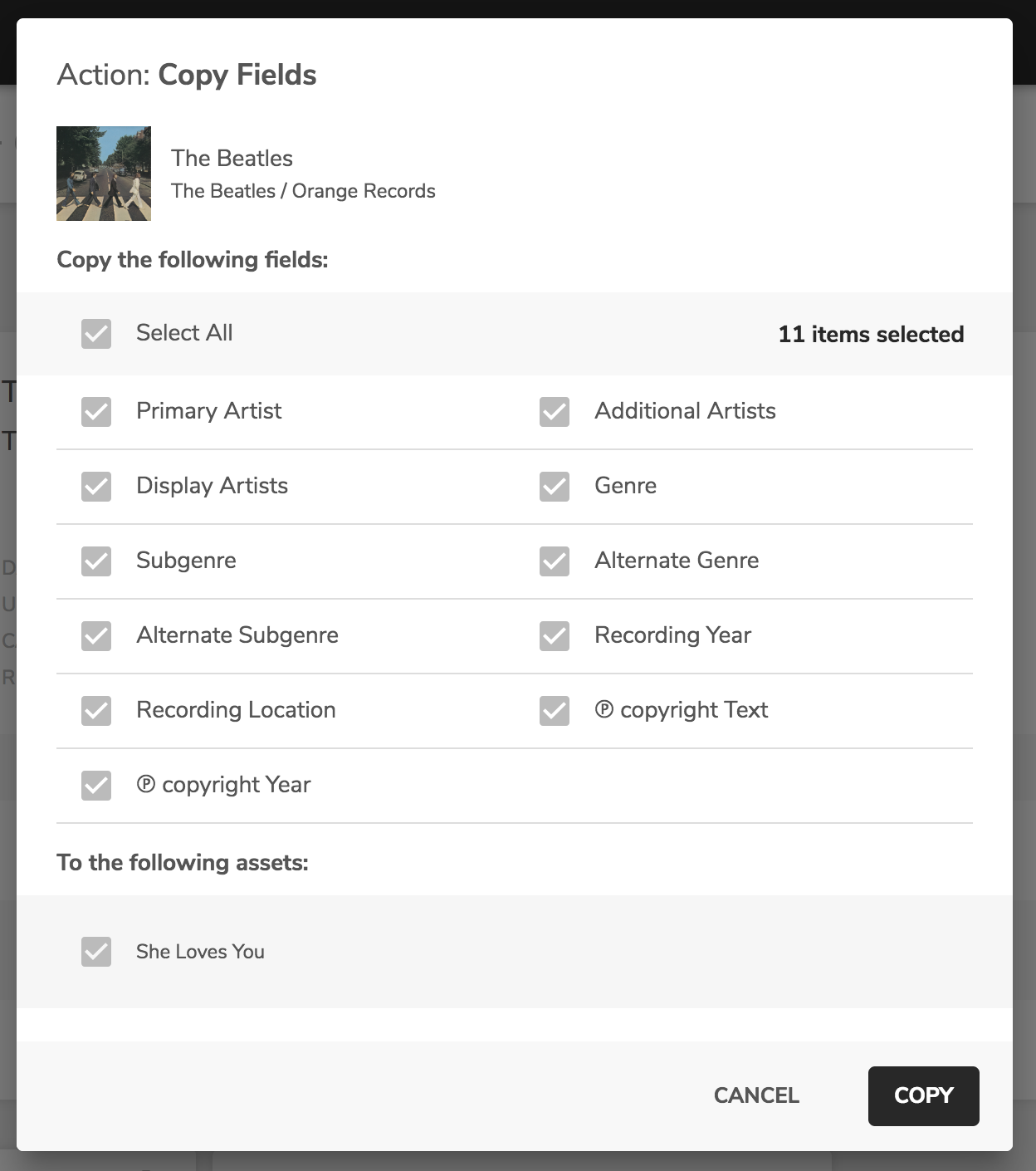 08d copy fields.png