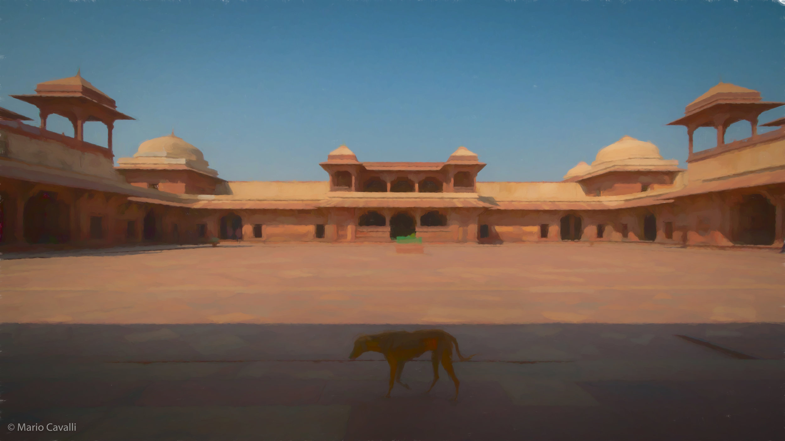 Lone Dog, Fatehpur Sikri
