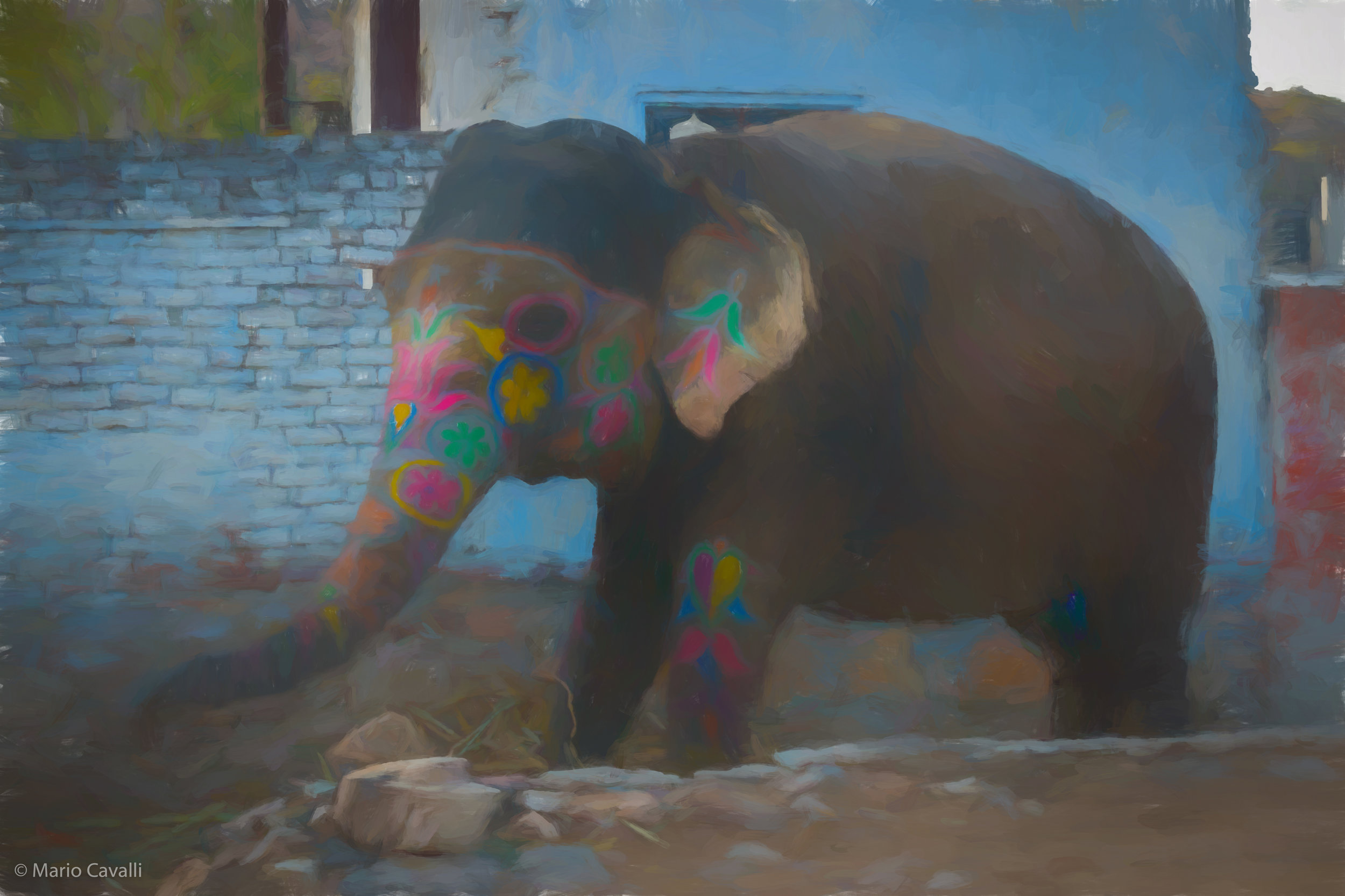 Festive Elephant]