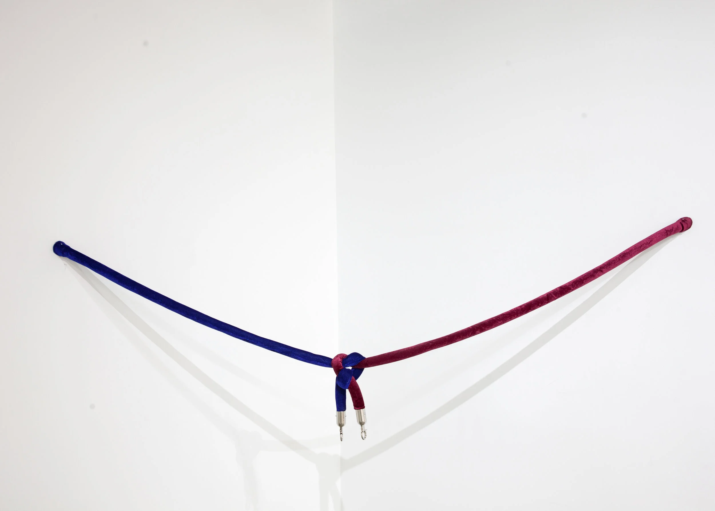 A bundle, 29x299x3.5(cm), Barrier rope and dowel, 2018
