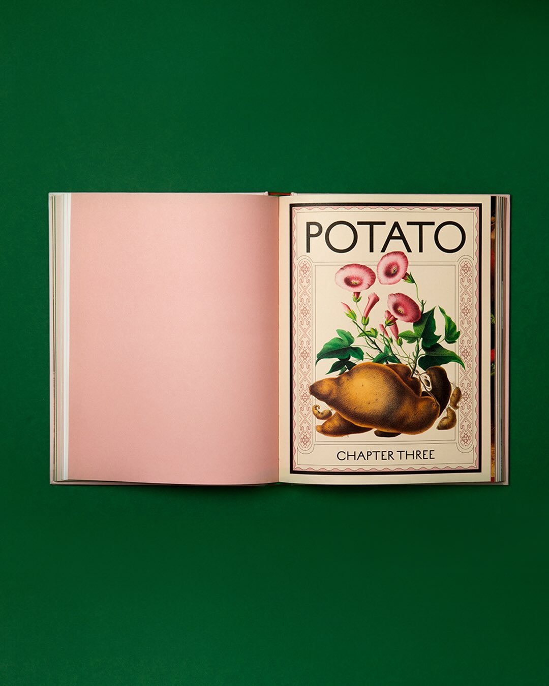 🌿📖✨ Pages, produce, and beautiful colours 🍠 We had the wonderful @nicandlou in at @zapstudioslondon bringing this one to life

📕 Book: Kapusta by @alissatimoshkina 📚 Publisher: @quadrillebooks 🎨 Design: @emmawells1 📸 Photography: @photography.