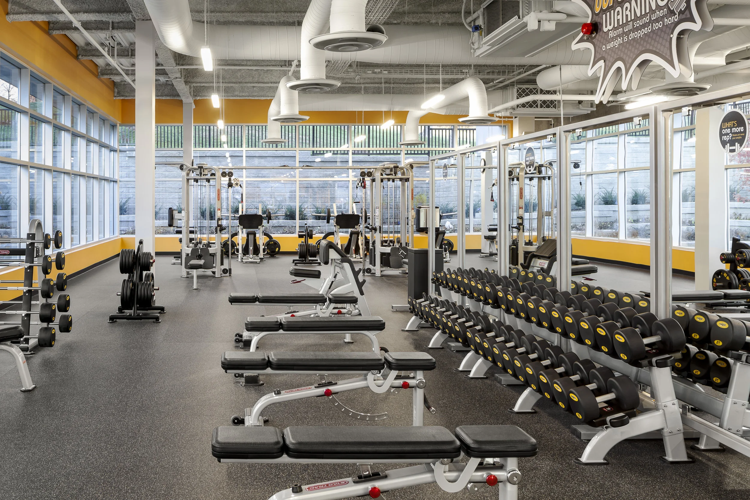 Fit4Less — Trigon Construction Management