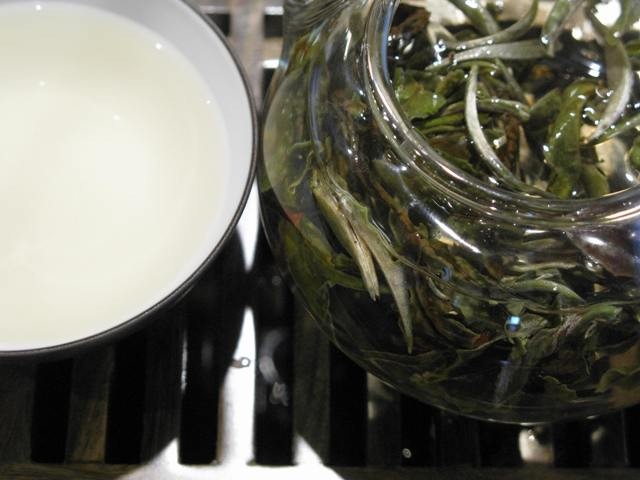 White Peony Tea with Cup