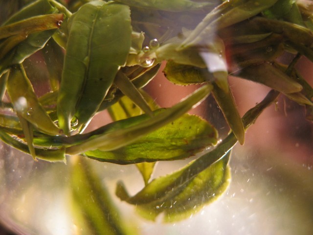 Valley Peak Green Tea 1.jpg